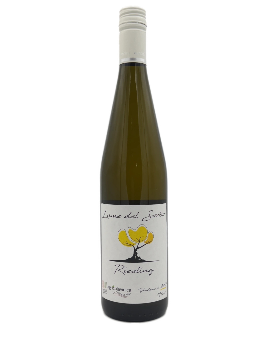 Riesling - Lame del Sorbo IGT 2020